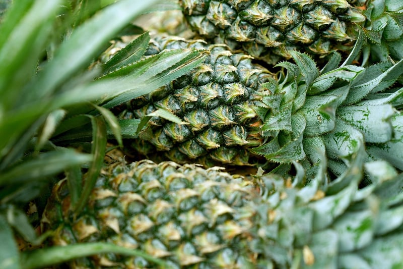 Pineapple